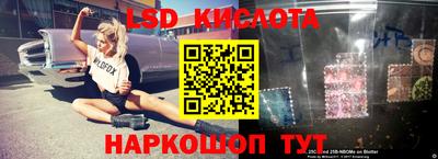 прущие крисы Новодвинск