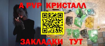 шишки Новозыбков