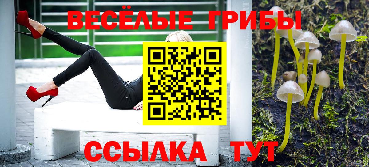 Рузаевка  Псилоцибиновые грибы Cubensis  Галлюциногенные грибы Psilocybe  Вход с VPN 