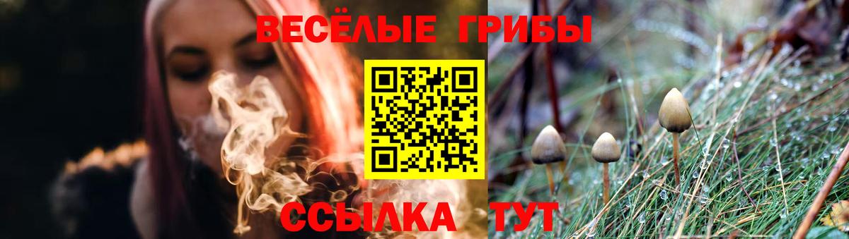 Галлюциногенные грибы GOLDEN TEACHER Рузаевка